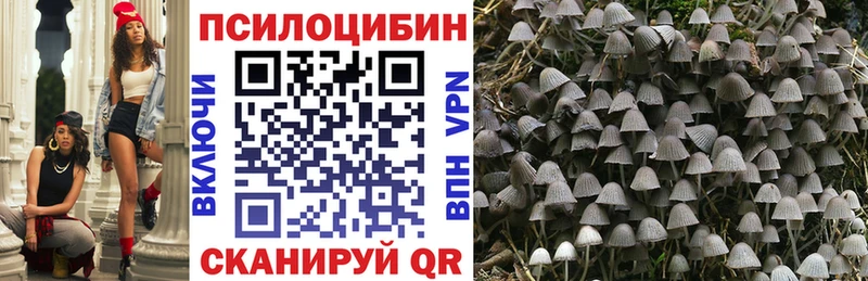 Псилоцибиновые грибы MAGIC MUSHROOMS площадка как зайти Раменское