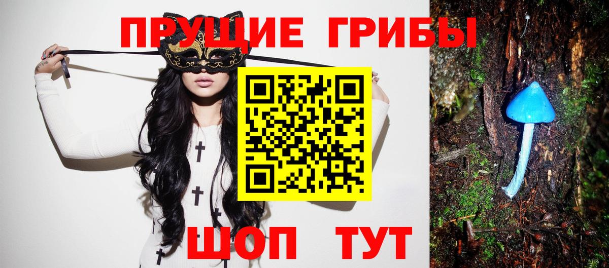 Псилоцибиновые грибы Psilocybe  Вход с VPN  Раменское 