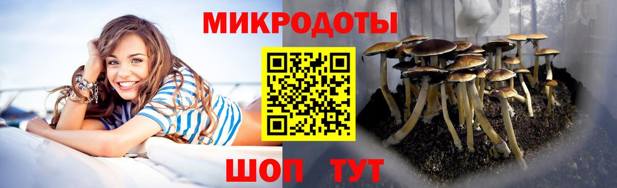 Псилоцибиновые грибы мухоморы Раменское